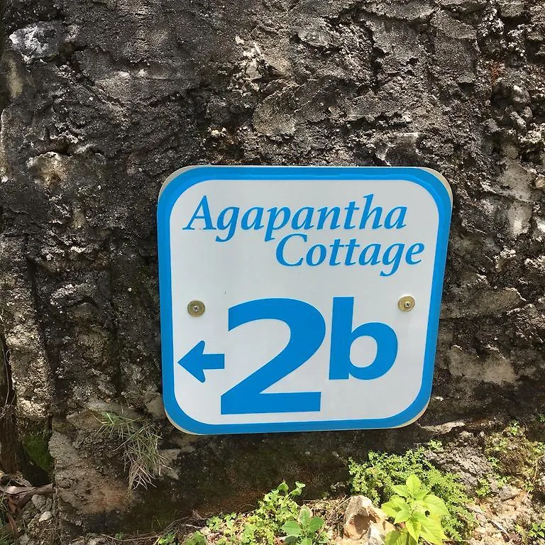 Agapantha Cottage Mandeville 2*,  Jamaica